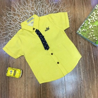 Sơ mi cà vạt sz 1-8