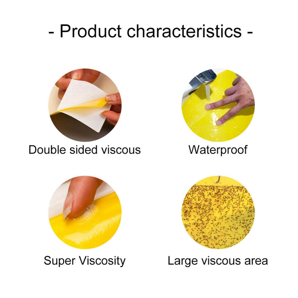 Set 10 Tấm dính hai mặt để bẫy côn trùng tiện dụng và bền