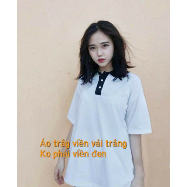 ÁO THUN POLO TRƠN UNISEX MIX CỔ - (Sp sẵn)