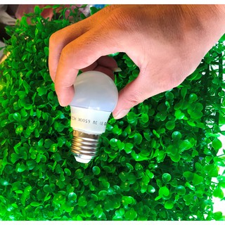 Bóng đèn búp led 5W -15W Đèn Bulb LED chiếu sáng gia đình giá sỉ : Hàng cao cấp , Tiết kiệm điện.