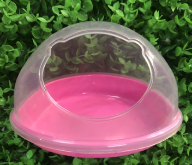 Nhà tắm cho hamster  hình gấu size lớn