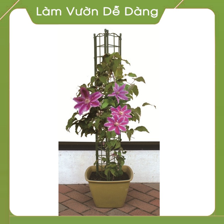 KHUNG ĐỠ DÀNH CHO CÂY HOA LEO-Dùng để chống đỡ cho cây cho leo, với những ô vuông nhỏ trên thân khung giúp cây bám chặt