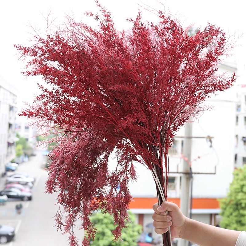 Hoa tuyết nhiều màu trang trí nội thất, cành thông lá nhỏ chup ảnh, decor.