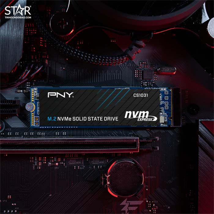Ổ cứng SSD 256G PNY CS1031 NVMe PCIe Gen3x4 M.2 2280 (M280CS1031256CL)