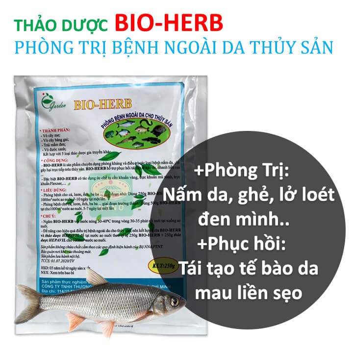 Chế phẩm Thảo Dược BIO-HERB -Xử lý ao nuôi Cá Koi, Ếch, Lươn bị bệnh nấm, lở loét ngoài da. Chiết xuất 100% Thiên Nhiên