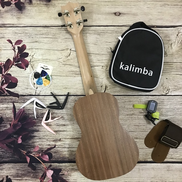 ( RẺ VÔ ĐỊCH ) ĐÀN UKULELE CONCERT THỎ U900