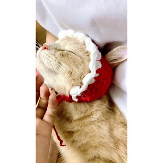 Mũ - Yếm len handmade cho mèo cute🧶🧵