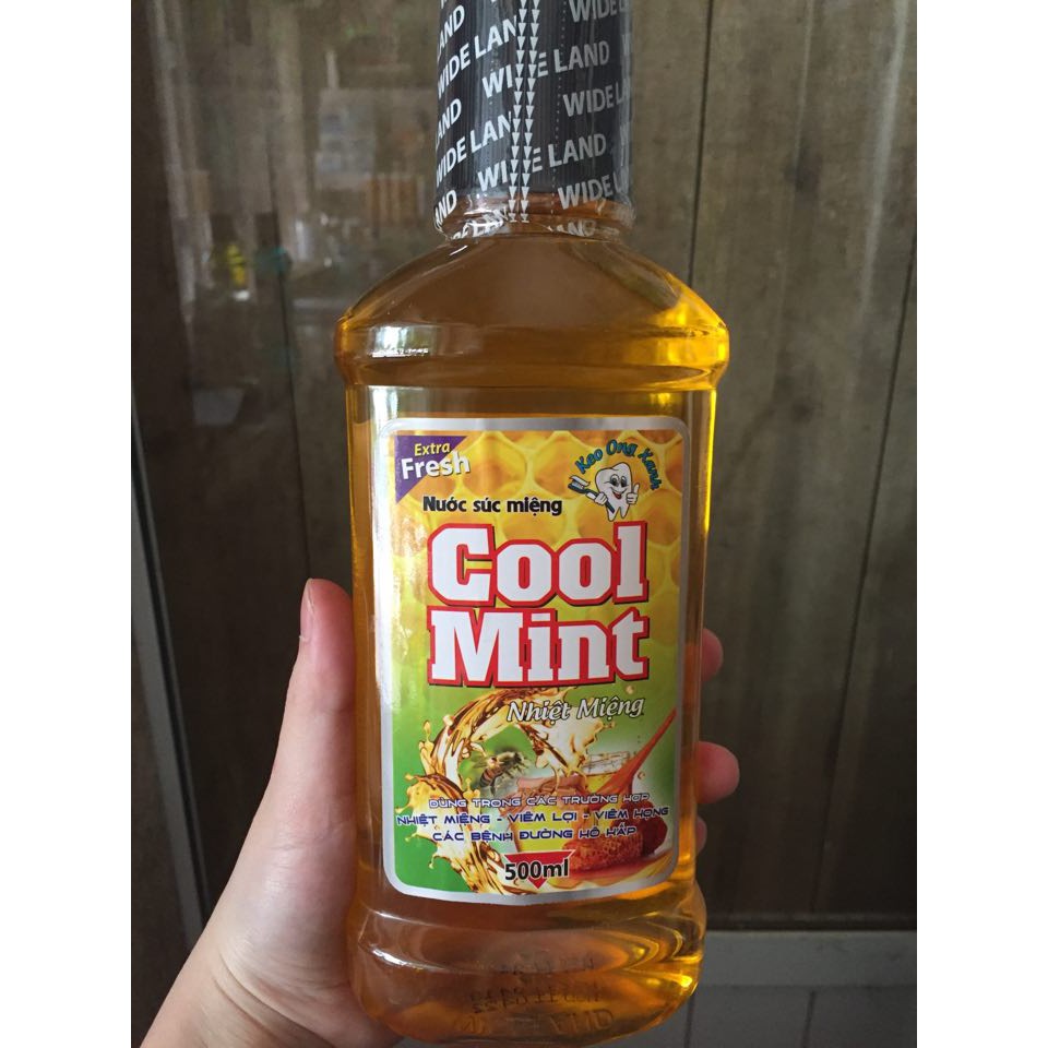 NƯỚC SÚC MIỆNG COOL MINT 500ML