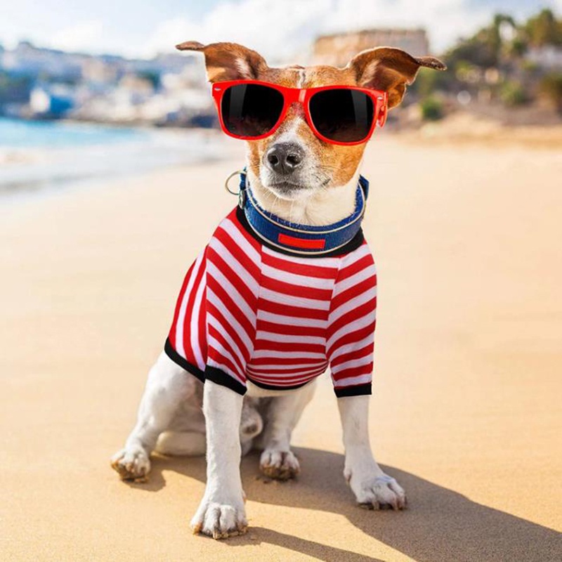 Áo Sơ Mi Họa Tiết Chéo Cho Thú Cưng#Ốp Điện Thoại Thời Trang Cho A070 A070