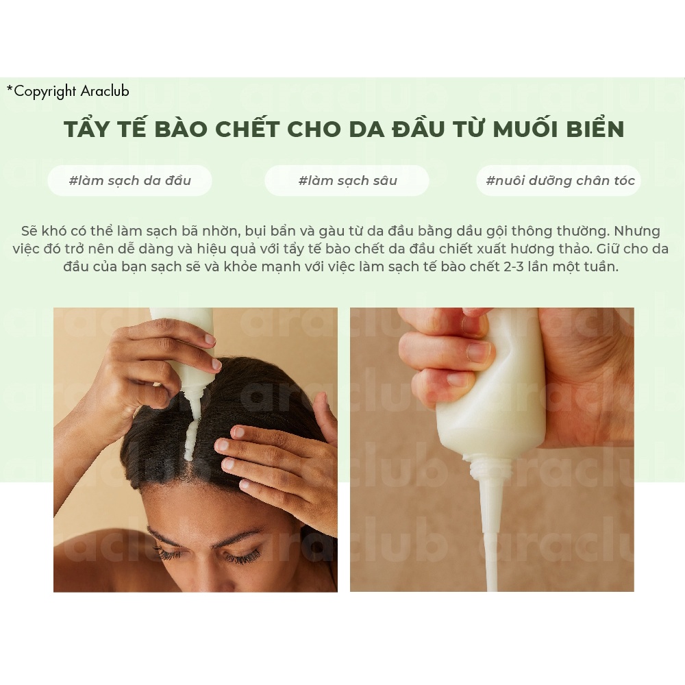 Kem Tẩy Tế bào Chết Da Đầu Chiết Xuất Hương Thảo Aromatica Rosemary Scalp Scrub 165g