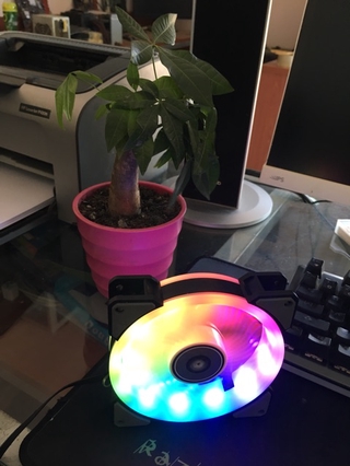 FAN TRANG TRÍ CASE RGB YTCOOL