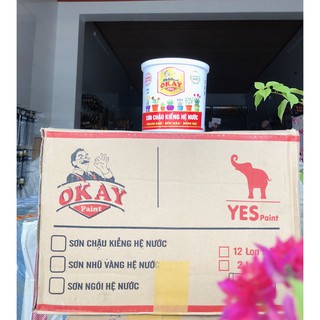 Sơn hệ nước - sơn chậu cảnh OKAY