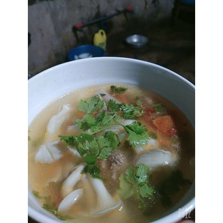 PHÔI NẤM BÀO NGƯ (NẤM SÒ)