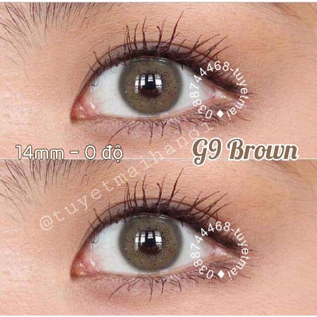 Lens Nâu Tây G9 Brown 14mm 0 Độ - Kính Áp Tròng Hàn Quốc Chính Hãng Vassen Sexy Me