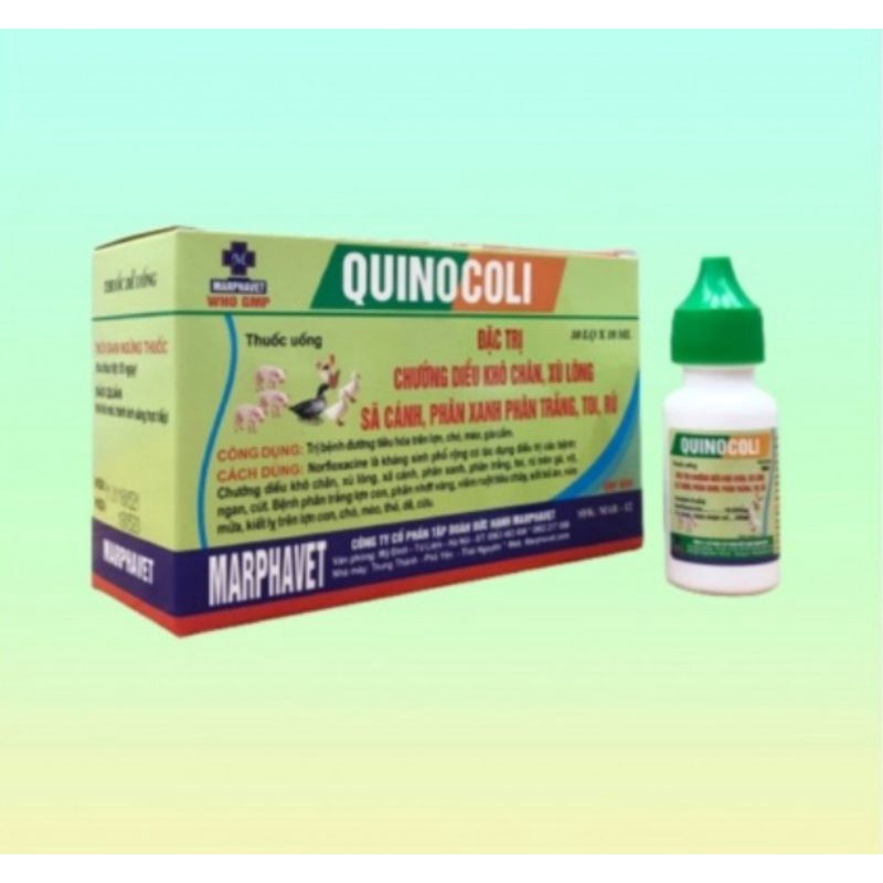 Combo 2 chai*10ml Quinocoli hsd 24/04/2025