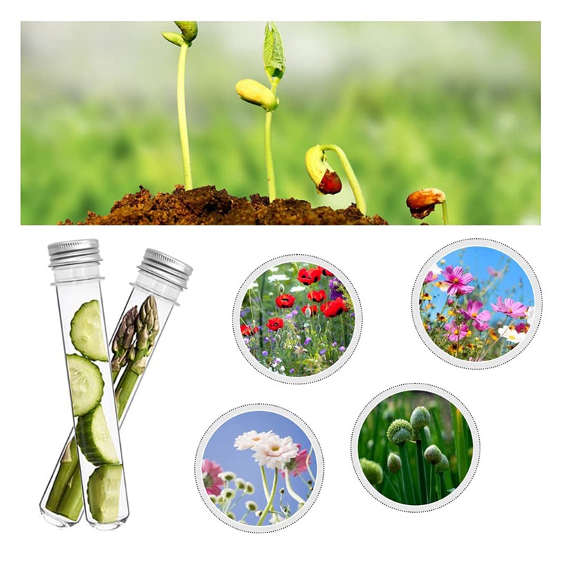 Set 30 Ống Nghiệm Nhựa 45Ml Có Nắp Trong Suốt Tiện Dụng