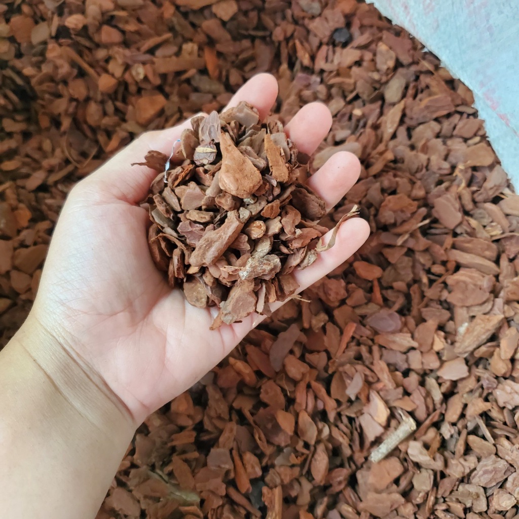 Vỏ thông size nhỏ 3-6mm túi 1kg