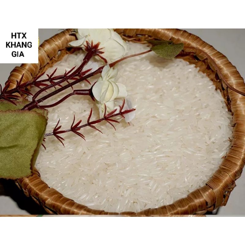 Hạt giống lúa Tám thơm Điện Biên túi 1kg