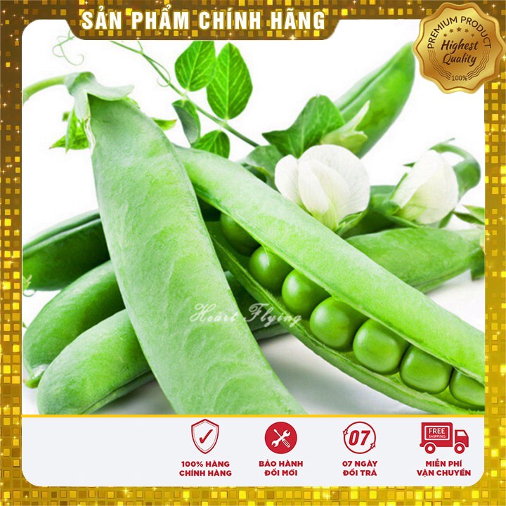 Hạt giống Đậu Hà Lan dễ trồng năng suất( 50gr)