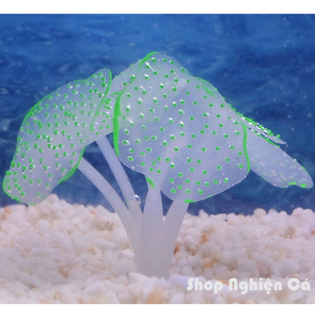 Cây thủy sinh san hô huỳnh quang Cây nhân tạo phát sáng