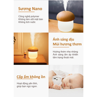Máy phun sương Jisulife JM02