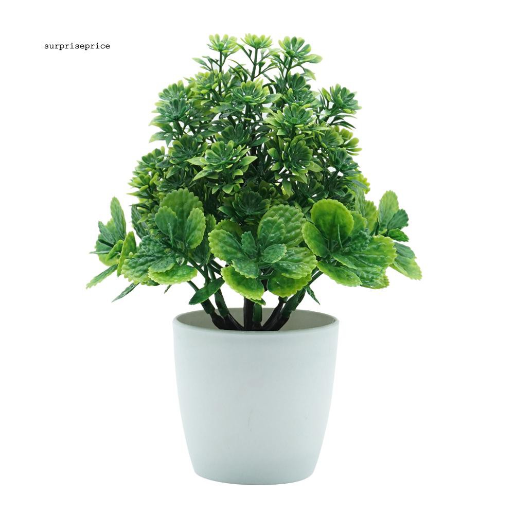 Hoa giả kèm chậu thiết kế đẹp mắt nhiều màu sắc tùy chọn trang trí đa dụng