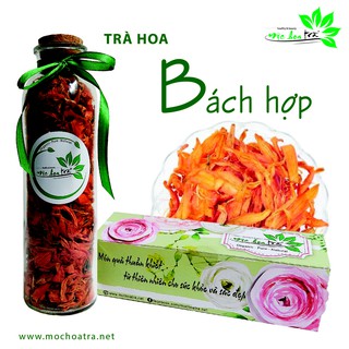 TRÀ HOA BÁCH HỢP ĐỎ - MỘC HOA TRÀ
