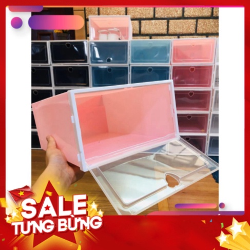 Hộp Đựng Giày Nắp Nhựa Cứng Trong Suốt, Size Lớn Màu Sắc Pastel