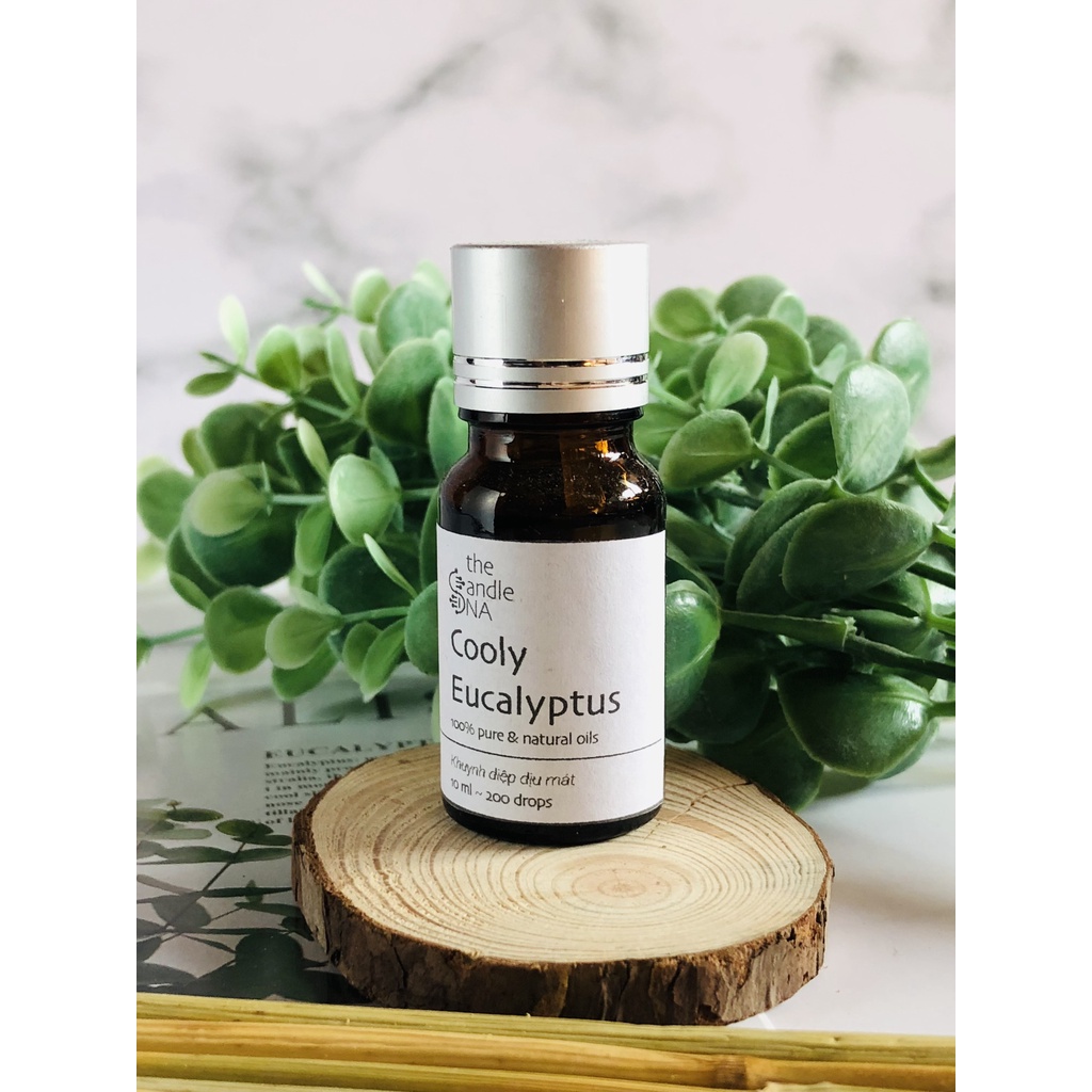 - Tinh dầu thiên nhiên họ THẢO MỘC - 10ml nguyên chất - The Candle DNA