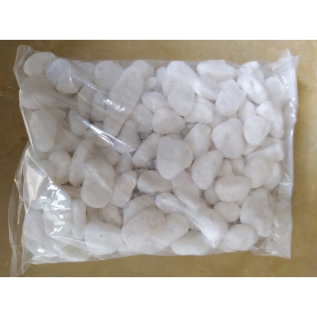 500g sỏi trắng size to 2 - 3 cm trang trí chậu cây hồ cá