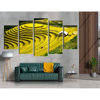 Bộ 5 tranh canvas phong cảnh mùa vàng Tây Bắc – B5T013