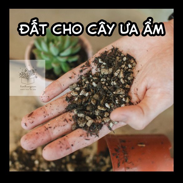 Đất Dinh Dưỡng Trồng Cây Hoa Kiểng - 200GRAM - Đất sạch cho dòng cây ưa ẩm - Nội thất - Tiệm Thường Xuân