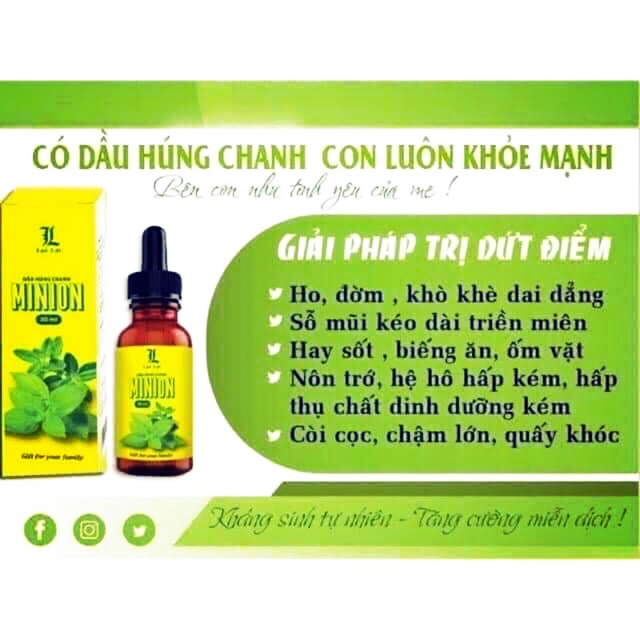 DẦU HÚNG CHANH MINION