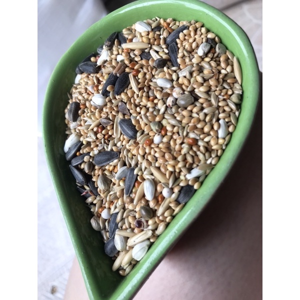 1kg Hạt cho lovebird, Cockatiel, parrotlet, các dòng vẹt nhỏ