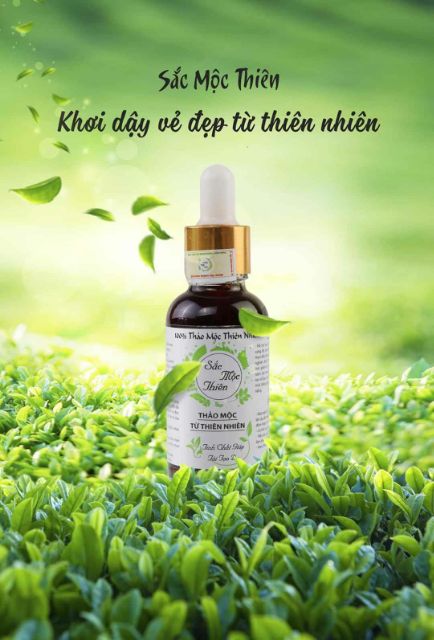 Sắc Mộc Thiên Tái Tạo Da Cao Cấp