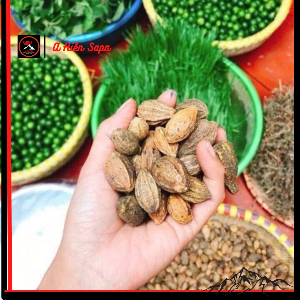 Quả kha tử khô, giảm ho, dùng nấu siro cho trẻ - A Hiến Sapa