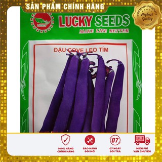 Hạt giống đậu cove leo tím