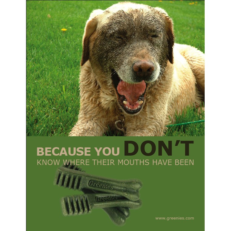 Bánh Thưởng Cho Cún Greenies Petite Dental Dog Treats Tách Lẻ Theo Combo