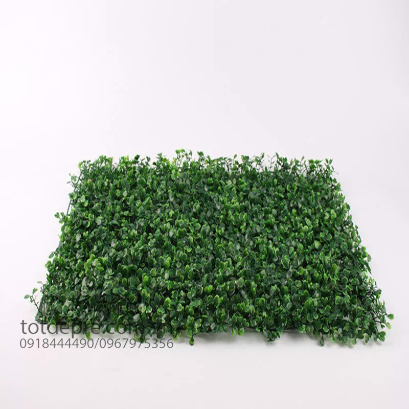 Thảm cỏ nhân tạo cải xoong 60x40cm
