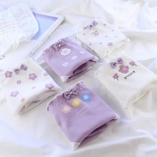 Set 5 quần chip chất cotton
