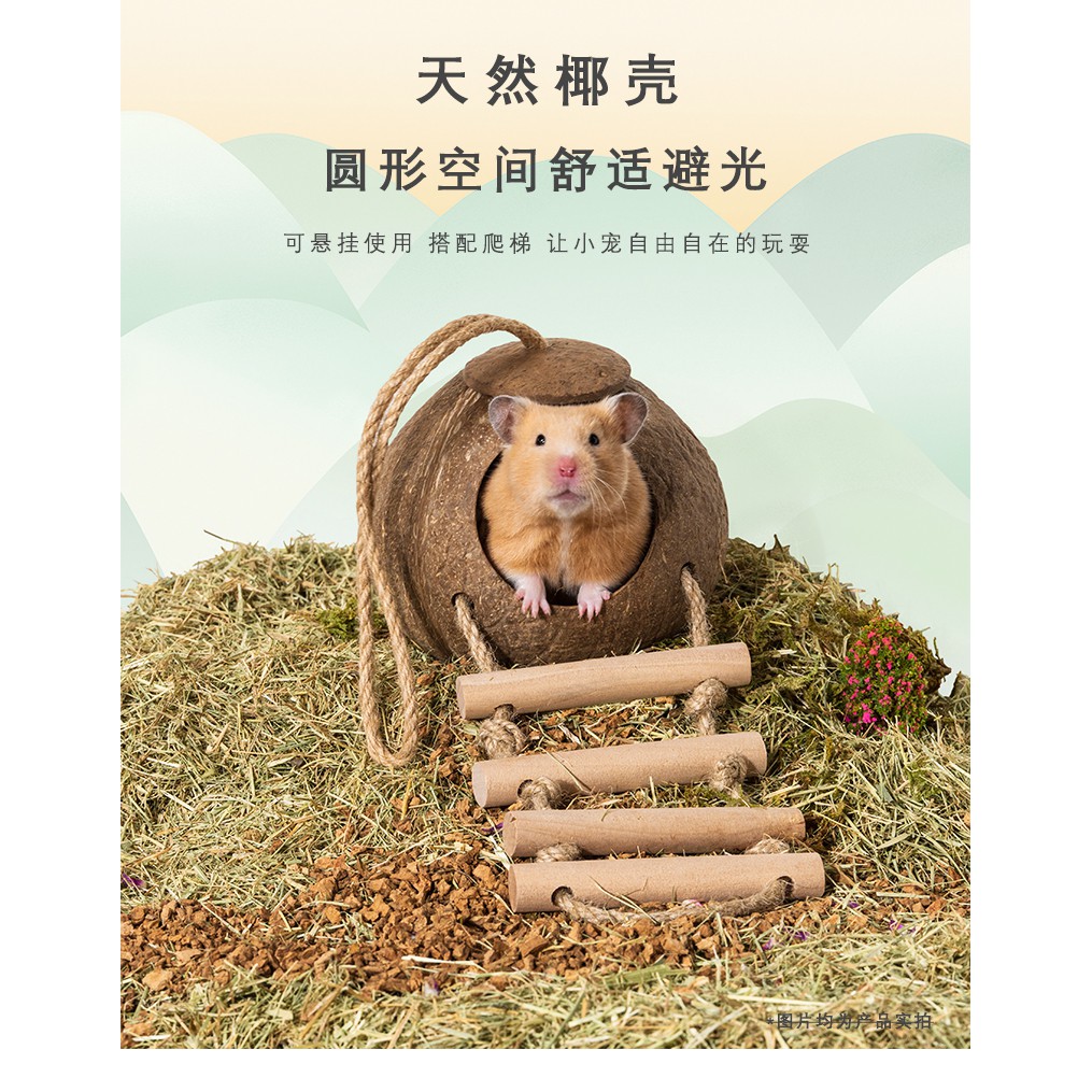 TỔNG HỢP dạng nhà và đồ chơi set theo kiểu thiên nhiên cho hamster