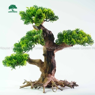 Lũa Bonsai, Lũa thủy sinh dùng trang trí hồ cá cảnh, hồ thủy sinh, văn phòng, nhà cửa (PLASTIC/07)