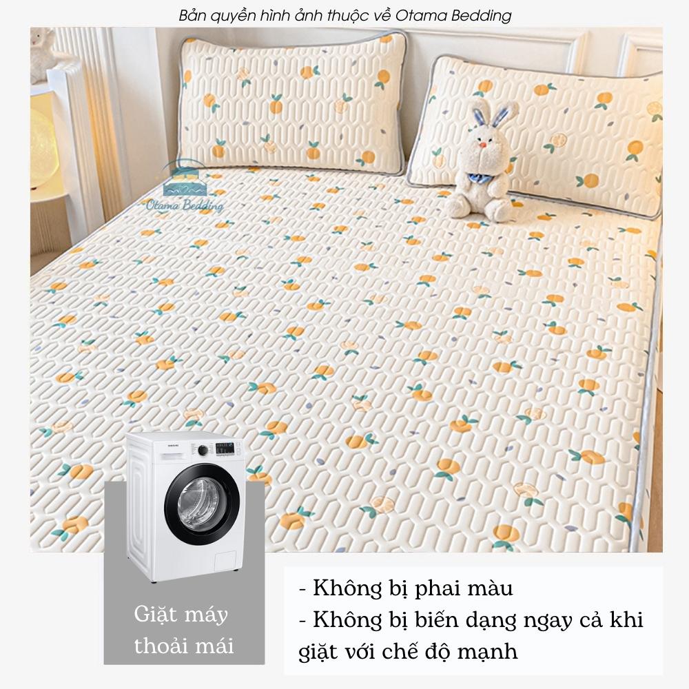 Chiếu cao su 5D Tencel Latex, chiếu điều hòa 5d nhập khẩu cao cấp - Otama Bedding