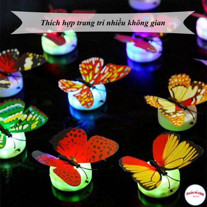 Mô Hình Bươm Bướm Tích Hợp Đèn LED Trang Trí Không Gian Độc Đáo Hot hit - br00597 | BigBuy360 - bigbuy360.vn