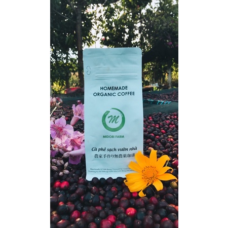 Cà phê sạch Blend 30% Arabica vườn nhà Midori Farm 500g, túi nhôm sang trọng | BigBuy360 - bigbuy360.vn