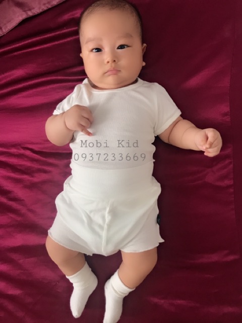 MINKY MOM chuẩn hãng  minky chip thun tăm- 2 link sản phẩm