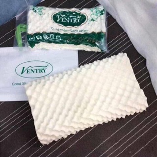 Gối cao su non Ventry