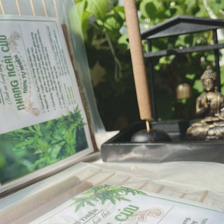 10 Thanh Nhang Ngải Cứu Bình Trí Thiện (100% tự Nhiên)