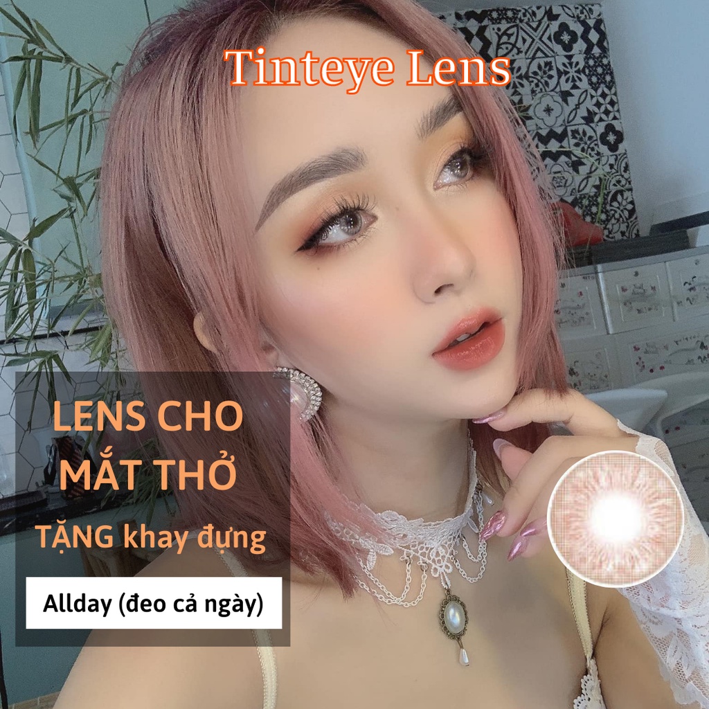 Lens cho Mắt Thở Sexy Brown 0 - 8 độ