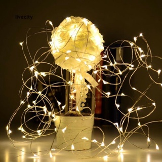Đèn led dây decor 3m 5m chạy bằng pin decor nhà cửa siêu hot